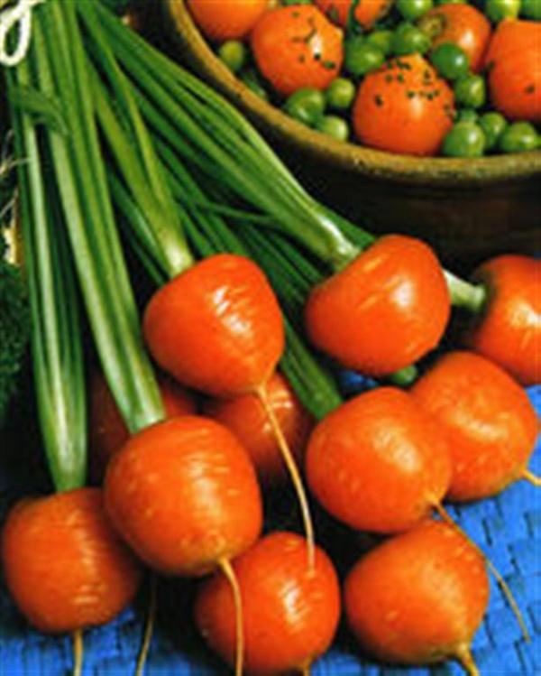 Heirloom carrot SMALL ROUND PARIS MARKET 1gm seeds